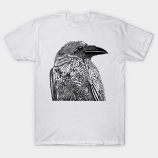 Raven Illustration T-Shirt